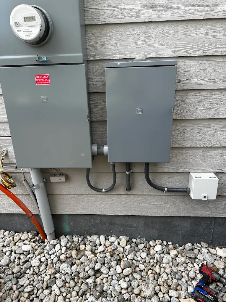Meter main with emergency disconnect and adjacent sub-panel